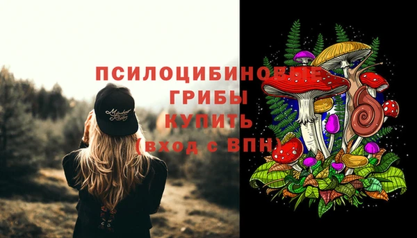 spice Семёнов