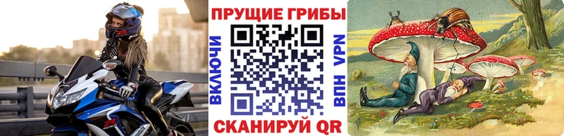 Псилоцибиновые грибы GOLDEN TEACHER  omg сайт  Трёхгорный  что такое наркотик 